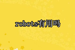 robots.txt文件